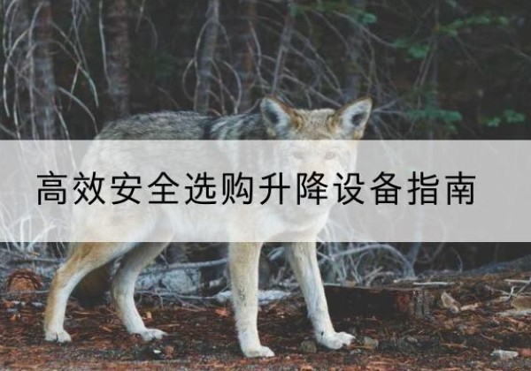 南华升降货梯厂家推荐-*安全选购升降设备指南