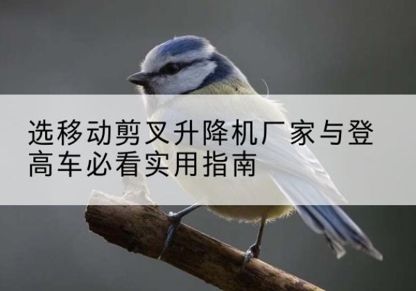 南华电动升降机厂家-选移动剪叉升降机厂家与登高车必看实用指南