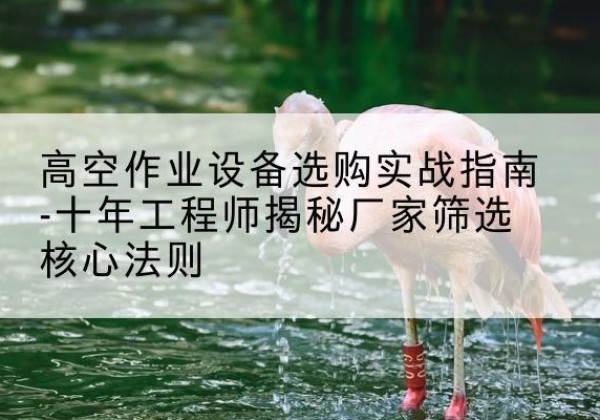 南华剪叉式升降机厂家-高空作业设备选购实战指南-十年工程师揭秘厂家筛选核心法则